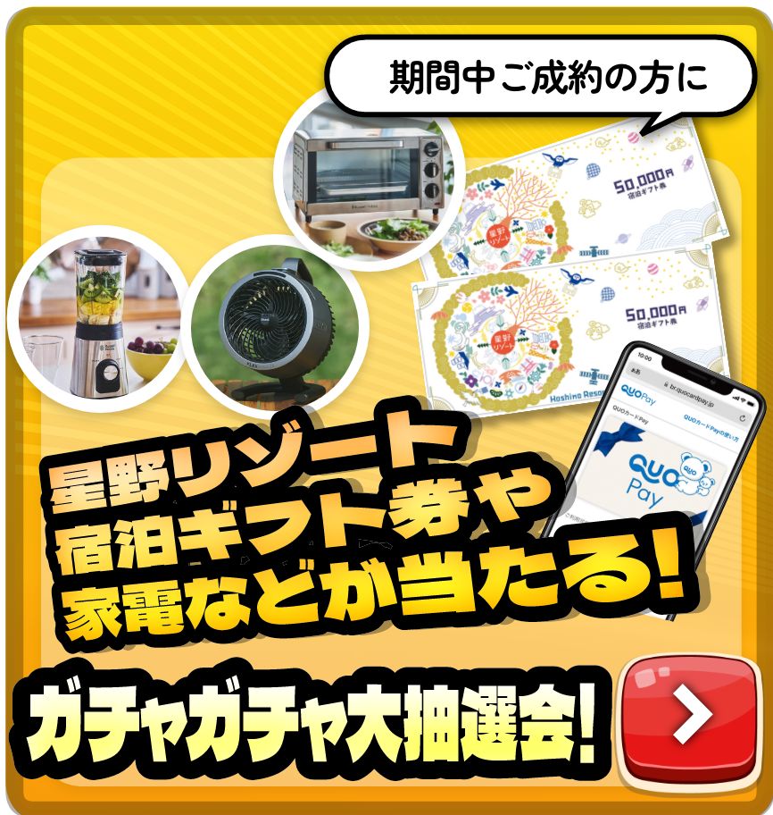 オプション購入補助