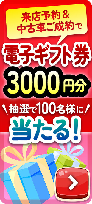 電子ギフト券 3,000円分 抽選で100名様に当たる